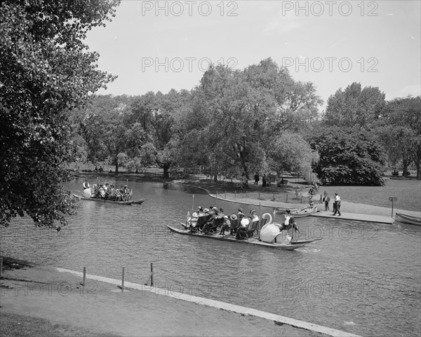 Swan boats, Public Gardens, Boston, Mass., between 1900 and 1906. Creator: Unknown.