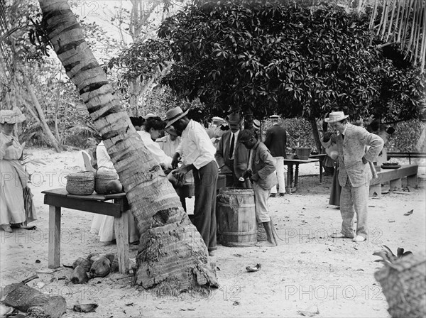 Eating cocoanuts, c1906. Creator: Unknown.