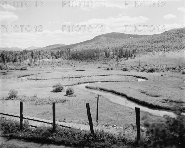 Letter "S" at state hospital, Ray Brook, Adirondack Mts., N.Y., c1907. Creator: Unknown.