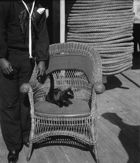 U.S.S. Vixen, Miss Vixen, the mascot, between 1890 and 1901. Creator: Unknown.