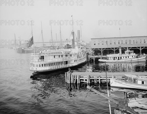 Docks, Jacksonville, Fla., between 1900 and 1920. Creator: Unknown.