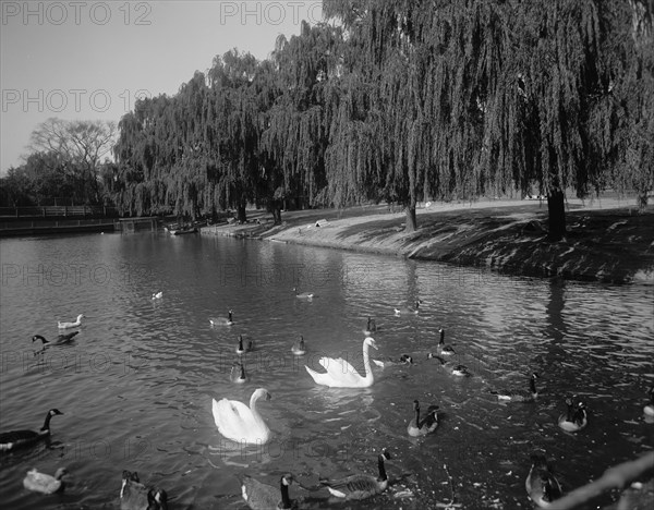 Lafayette Park, Norfolk, Va., between 1900 and 1920. Creator: Unknown.