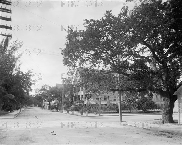 Miami, Fla., Avenue C and Fort Dallas Hotel, between 1900 and 1920. Creator: Unknown.