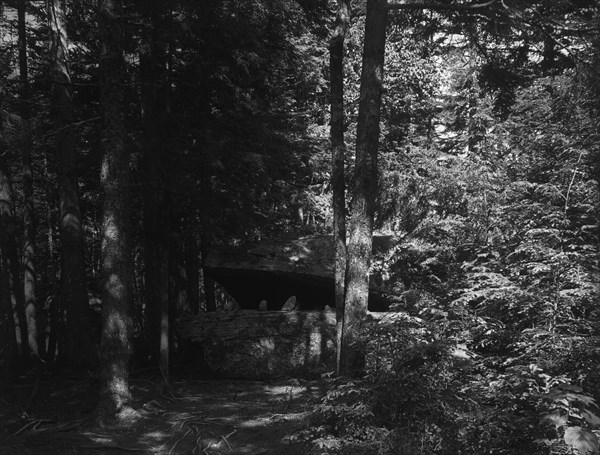 Alligator Head near South Lake, Catskill Mountains, N.Y., c1902. Creator: Unknown.