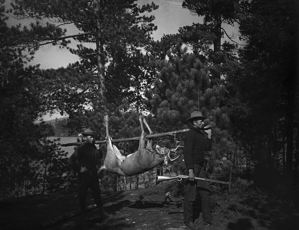 Hunting in the Adirondacks, c1903. Creator: Unknown.