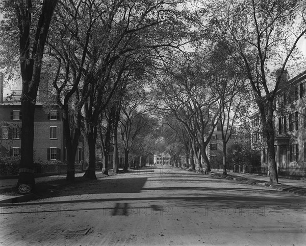 Chestnut St., Salem, Mass., c1906. Creator: Unknown.