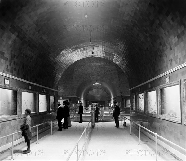 Interior of aquarium, Belle Isle, Detroit, Mich., between 1890 and 1910. Creator: Unknown.