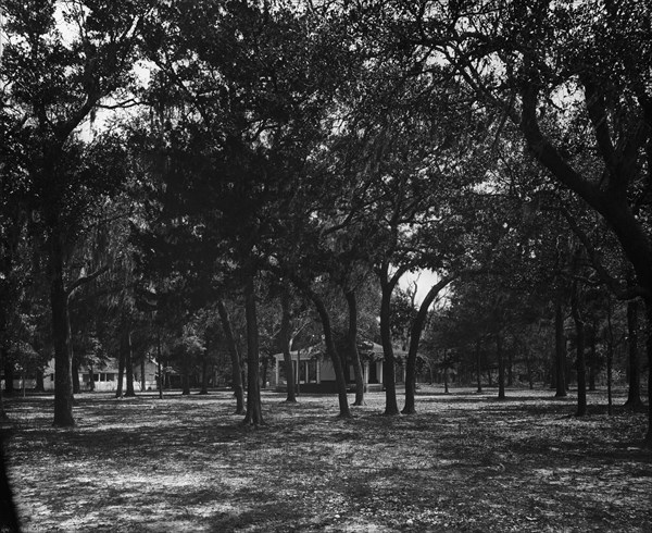 Pavilion behind trees, possibly Southern States, c1901. Creator: Unknown.