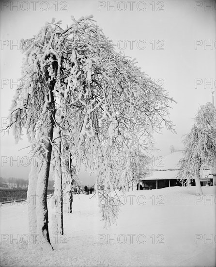 Snow studies, Prospect Park, Niagara, between 1880 and 1901. Creator: Unknown.