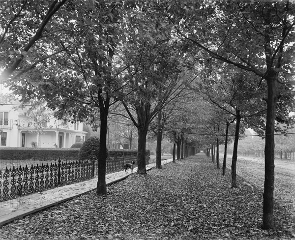 Gratiot Ave. and Church St., Mt. Clemens, between 1880 and 1899. Creator: Unknown.