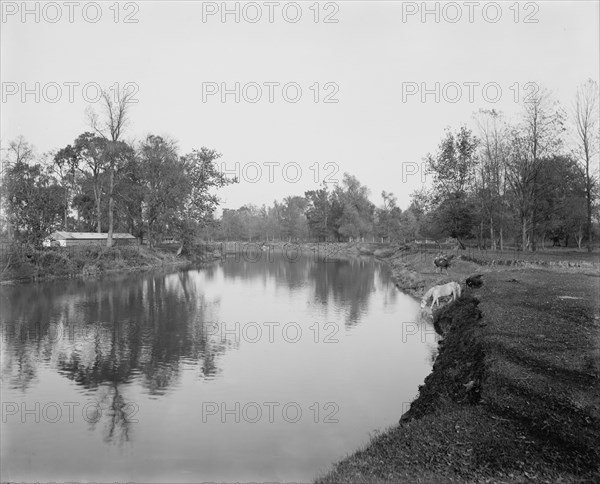 Clinton River summer resort, Mt. Clemens, between 1880 and 1899. Creator: Unknown.