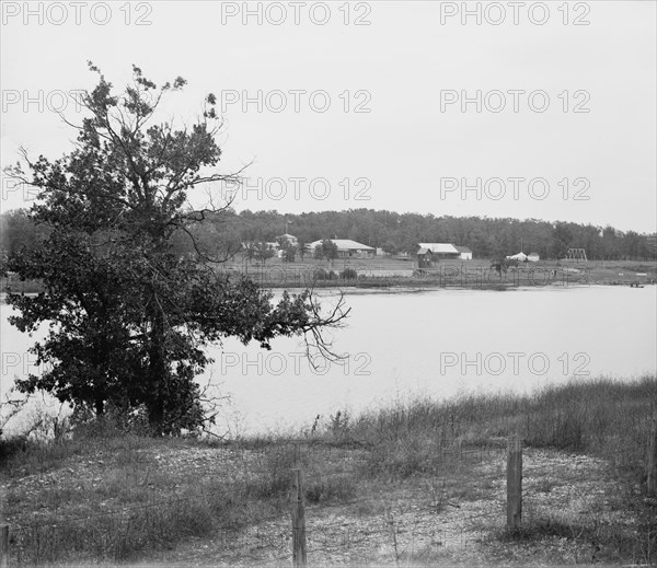 Batavia, Laurelwood Park, between 1880 and 1899. Creator: Unknown.