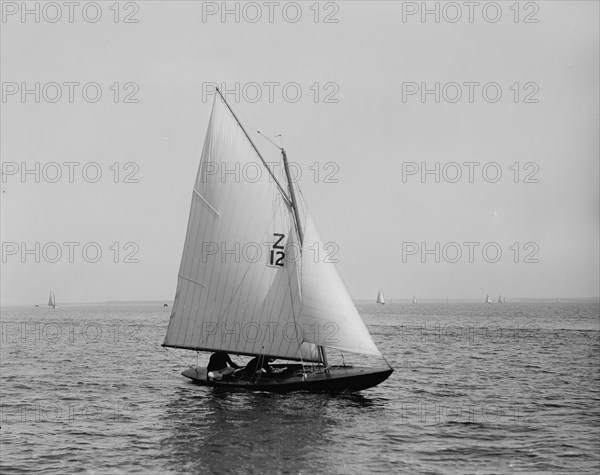 Trilby, 1896 June 30. Creator: Lycurgus S. Glover.