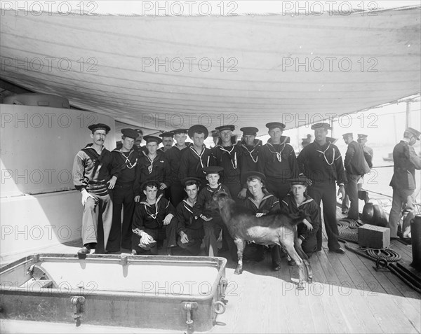 Pitch, the ship's mascot, between 1893 and 1901. Creator: Edward H Hart.