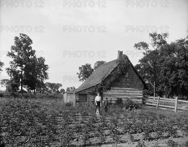 Log cabin, probably Rio Vista, Grosse Ile, Mich., between 1900 and 1910. Creator: William H. Jackson.