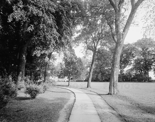 West approach, Mt. Vernon, Va., between 1900 and 1915. Creator: William H. Jackson.