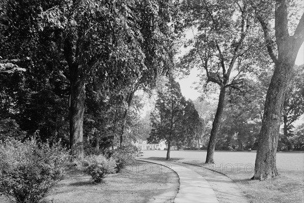 Bowling green & west approach, Mt. Vernon, Va., between 1900 and 1915. Creator: William H. Jackson.