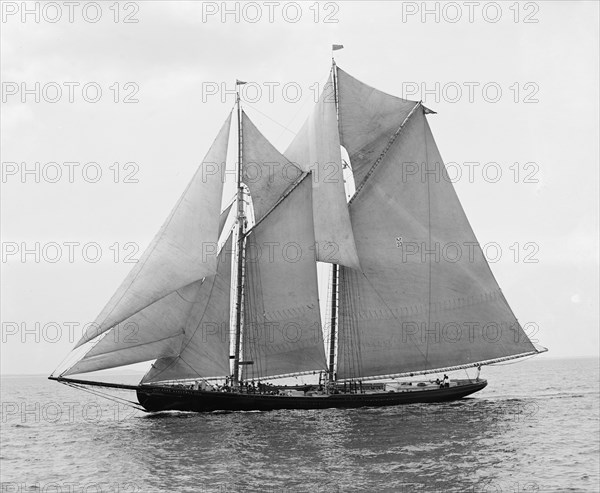 Rose Dorothea, winner of Lipton Cup, in first [?] Fishermen's Race, 1907. Creator: Unknown.