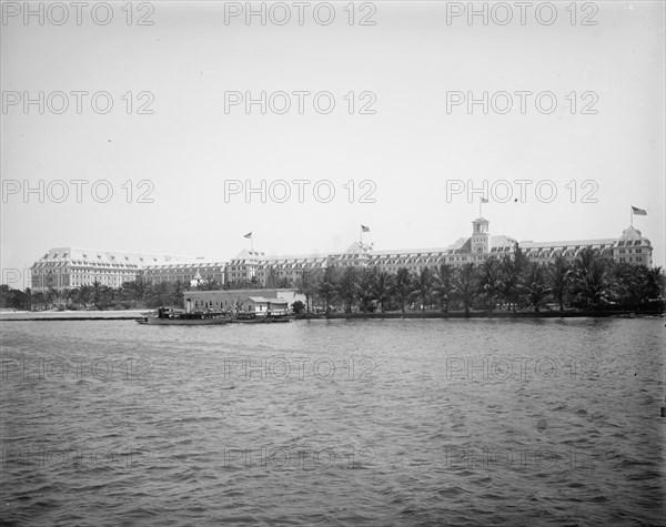 Royal Poinciana from wharf, Palm Beach, Fla., 1902. Creator: Unknown.