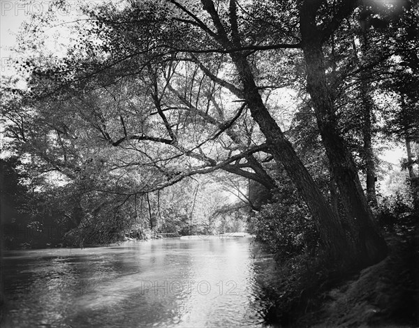 The Swannanoa near Kenilworth Inn, Asheville, N.C., between 1895 and 1910. Creator: Unknown.