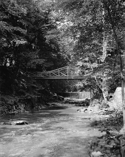 The Falls, Bronx Park, New York, N.Y., between 1895 and 1910. Creator: Unknown.