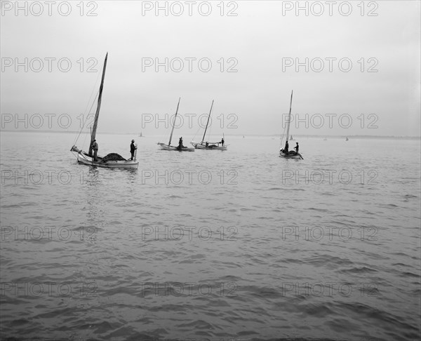 Oyster dredging, between 1900 and 1910. Creator: Unknown.