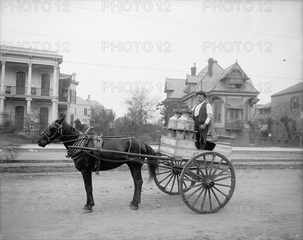 New Orleans milk cart, New Orleans, Louisiana, between 1900 and 1910. Creator: Unknown.