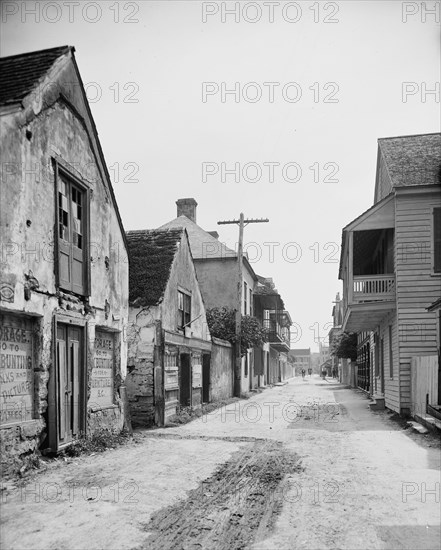 Charlotte Street, St. Augustine, Fla., between 1900 and 1910. Creator: Unknown.