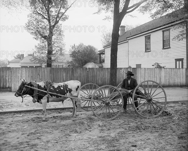 S.C. huckster, South Carolina, between 1900 and 1910. Creator: Unknown.