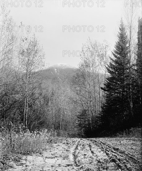 Mount Pleasant from base road, White Mountains, ca 1900. Creator: Unknown.