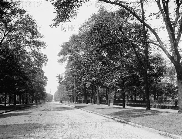 Euclid Avenue, Cleveland, Ohio, c1900. Creator: Unknown.