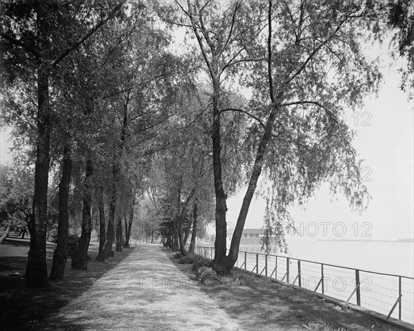 Wessonside Willow Road, Wesson estate, between 1900 and 1910. Creator: Unknown.