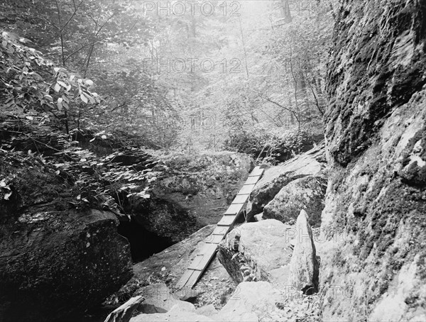 The Ice Glen, Stockbridge, Mass., c.between 1910 and 1920. Creator: Unknown.