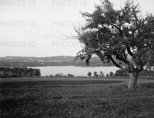 Laurel Lake, Westinghouse estate, Lenox, Mass., between 1910 and 1920. Creator: Unknown.