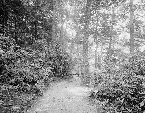 Laurel Lane, White Sulphur Springs, W. Va., c.between 1910 and 1920. Creator: Unknown.