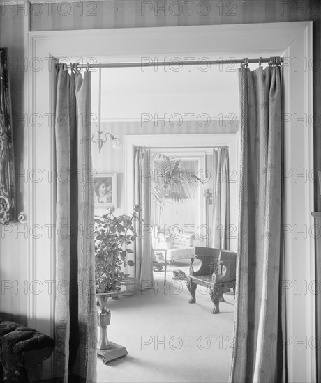 Views through portieres, roses and palm, between 1900 and 1915. Creator: Unknown.