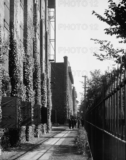 Path in front of warehouse, Hiram Walker & Sons, Walkerville, Ont., between 1905 and 1915. Creator: Unknown.