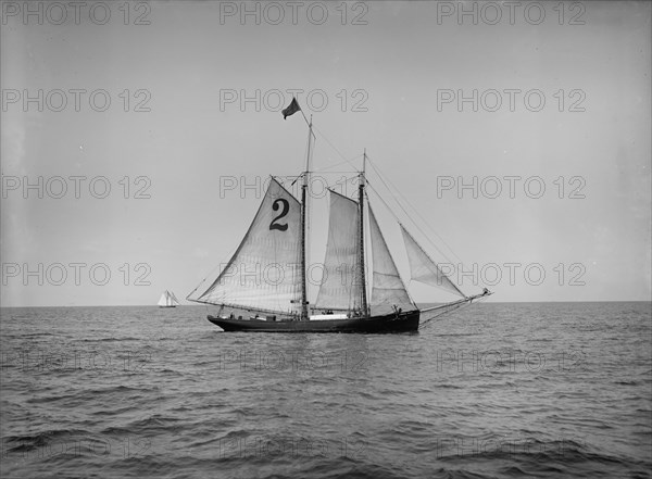 Pilot boat no. 2, between 1900 and 1905. Creator: Unknown.