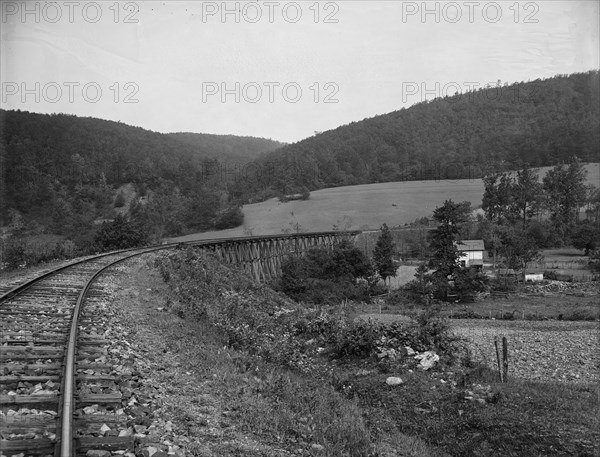 Toms Creek trestle [Frederick County, Md.], between 1900 and 1905. Creator: Unknown.
