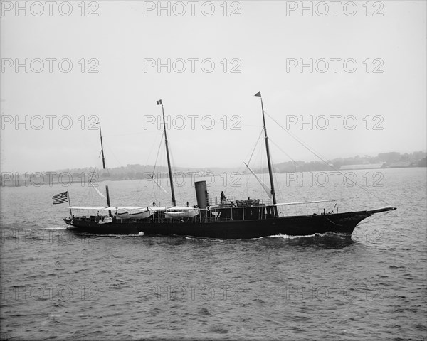 Tillie, 1892 June. Creator: John S Johnston.