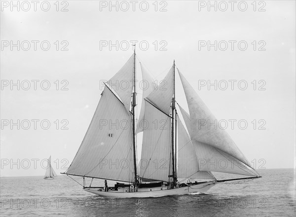Adrienne, 1897 July 7. Creator: John S Johnston.