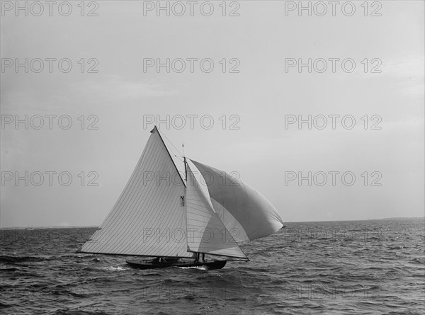 Celia, 1896 Aug 1. Creator: John S Johnston.