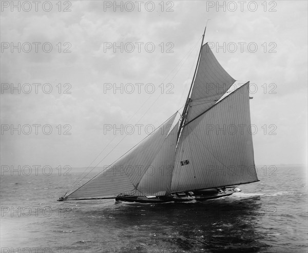 Clara, between 1890 and 1900. Creator: John S Johnston.