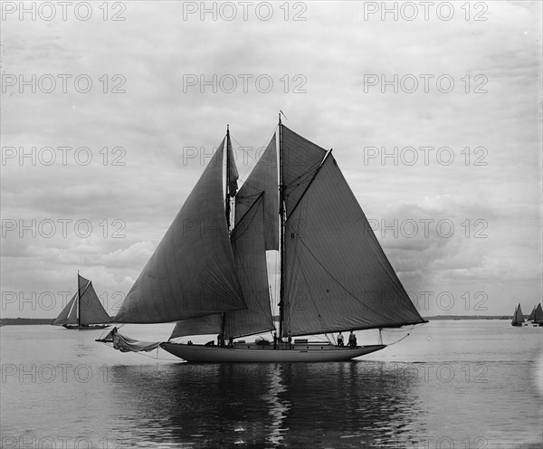 Clorita, 1899 June 17. Creator: John S Johnston.