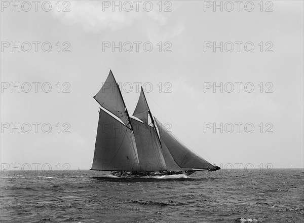 Colonia, 1899 June 20. Creator: John S Johnston.