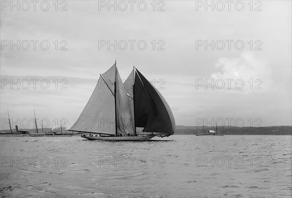 Colonia, 1896 June 16. Creator: John S Johnston.