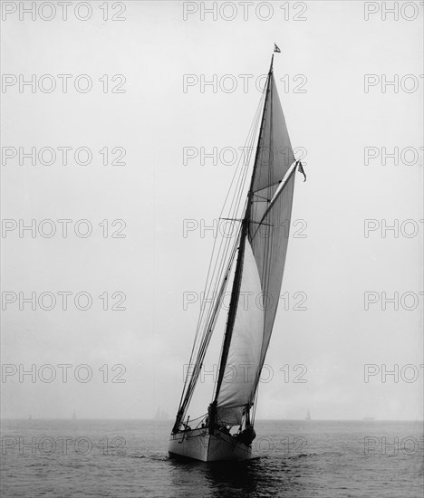 Daphne, 1893. Creator: John S Johnston.