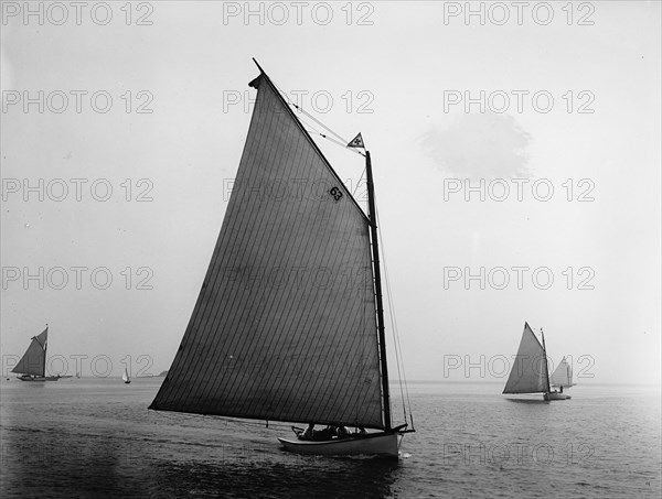 Elsie, 1898 July 30. Creator: John S Johnston.