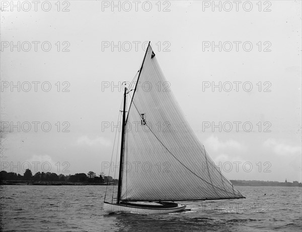 Ethel, 1897 June 29. Creator: John S Johnston.