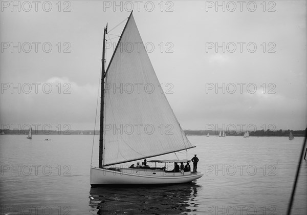 Cat boat Fanny, Larchmont, 1890. Creator: John S Johnston.